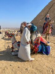IMG 8298
