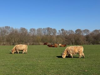 Fahrradtour Roermond - Kessel - Hanssum