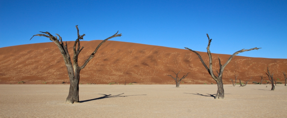 Sonnenaufgang im Deadvlei